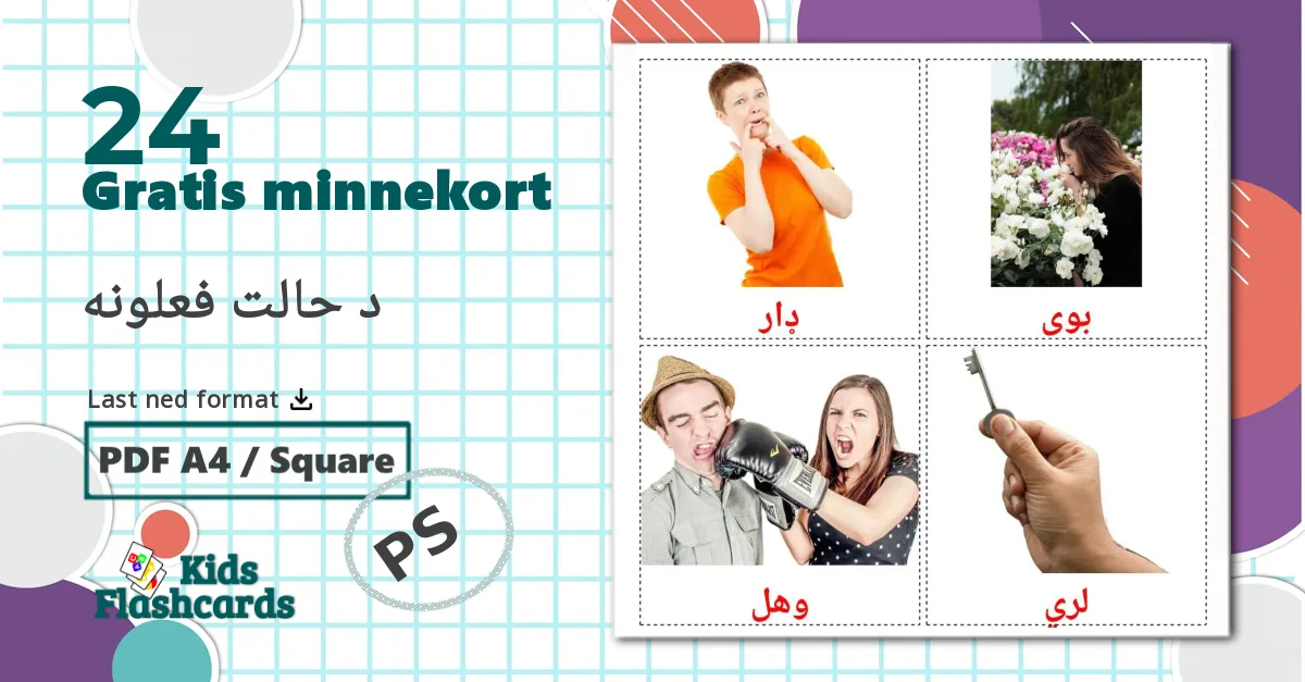 24 د حالت فعلونه bildekort