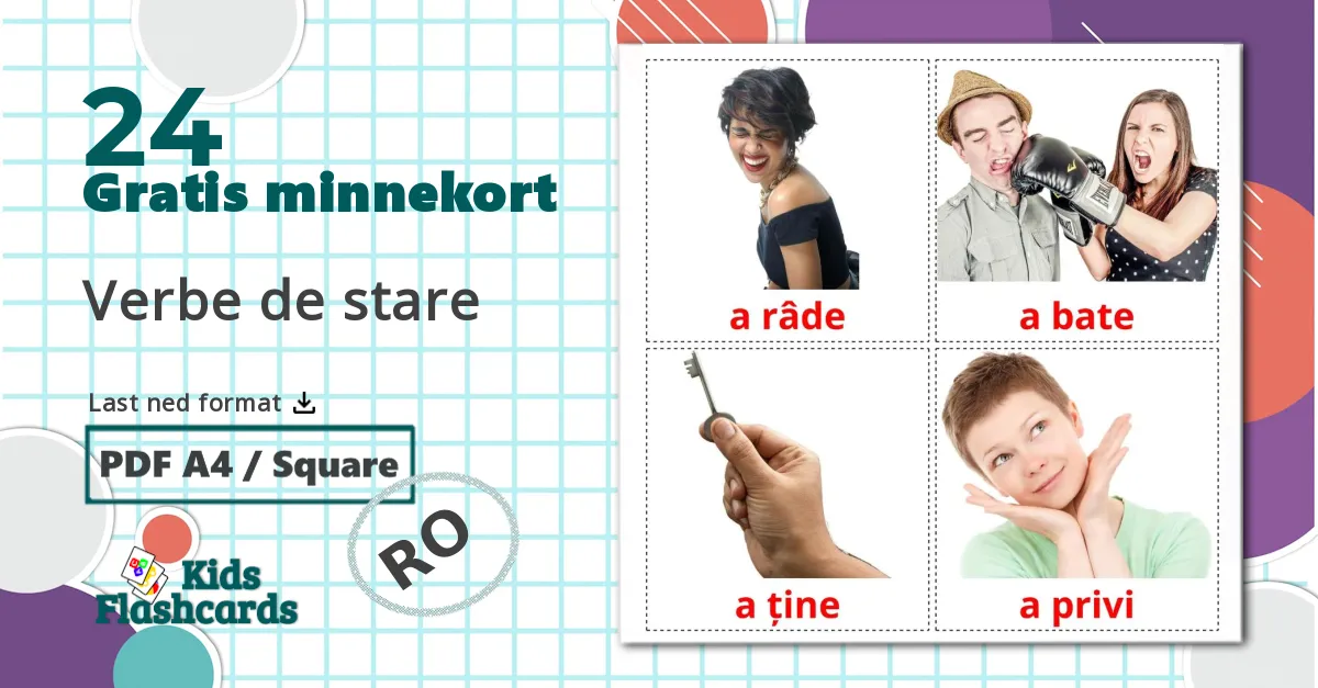 24 Verbe de stare  bildekort