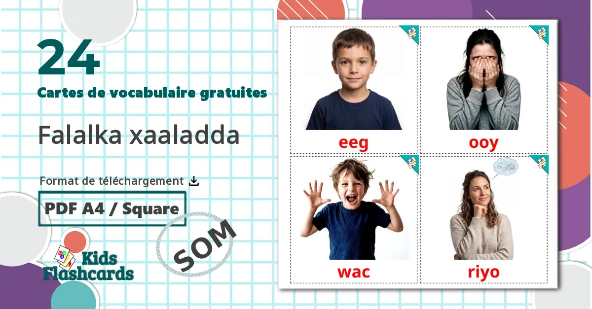 24 Imagiers Les Verbes d'États
