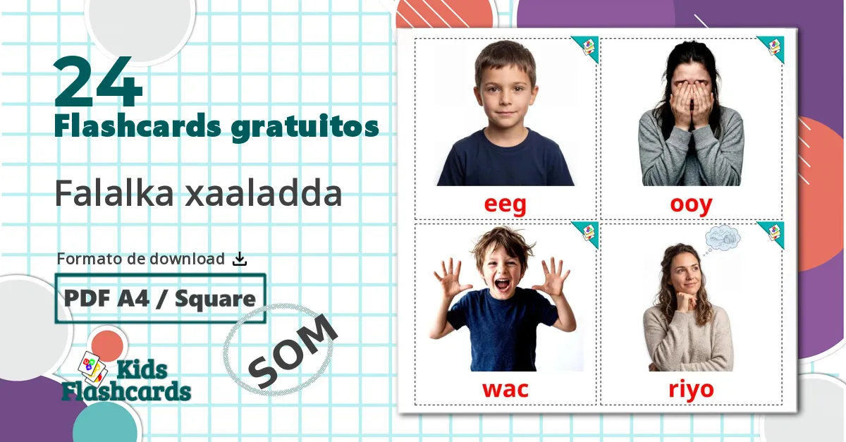 24 Flashcards de Verbos de Estado