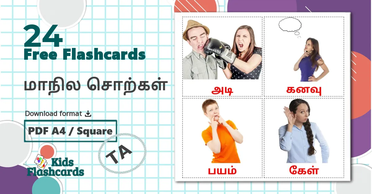 24 மாநில சொற்கள் flashcards