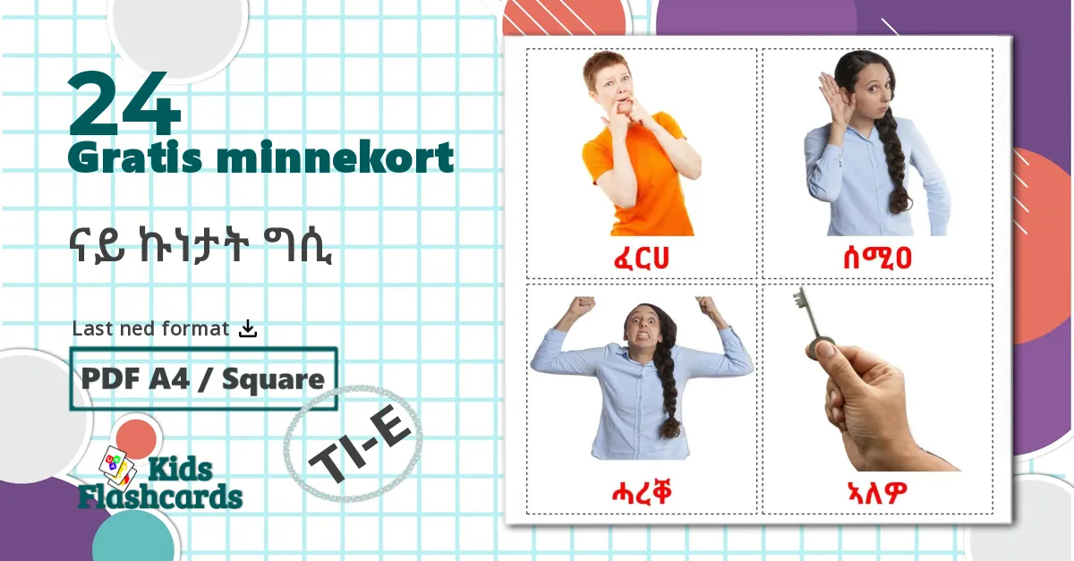 24 ናይ ኩነታት ግሲ bildekort