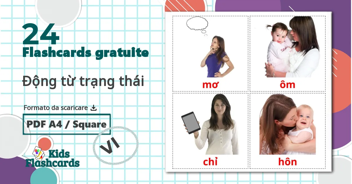 24 flashcards di Động từ trạng thái