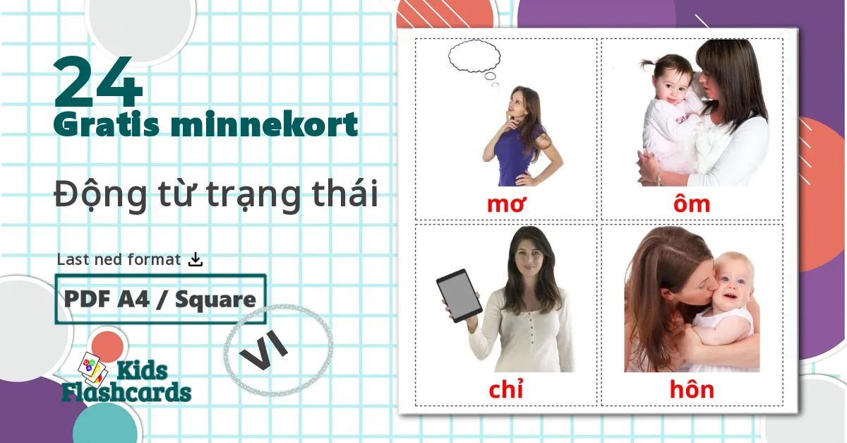 24 Động từ trạng thái bildekort