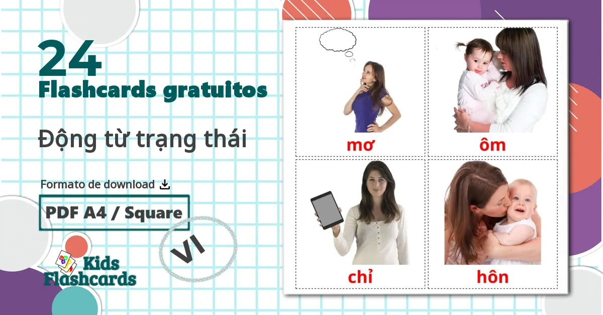 24 Flashcards de Động từ trạng thái