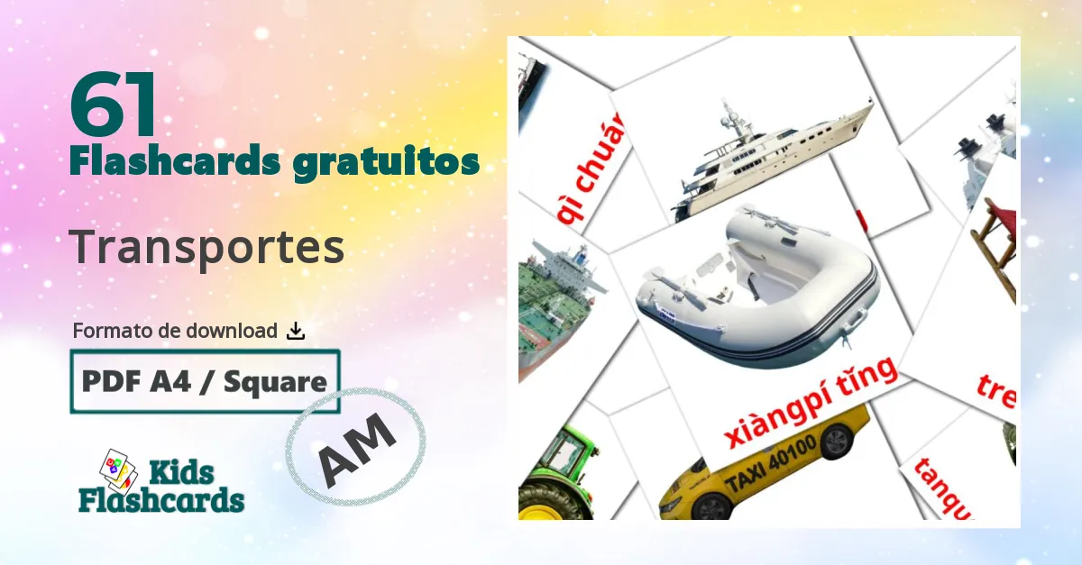 Flashcards de Transporte