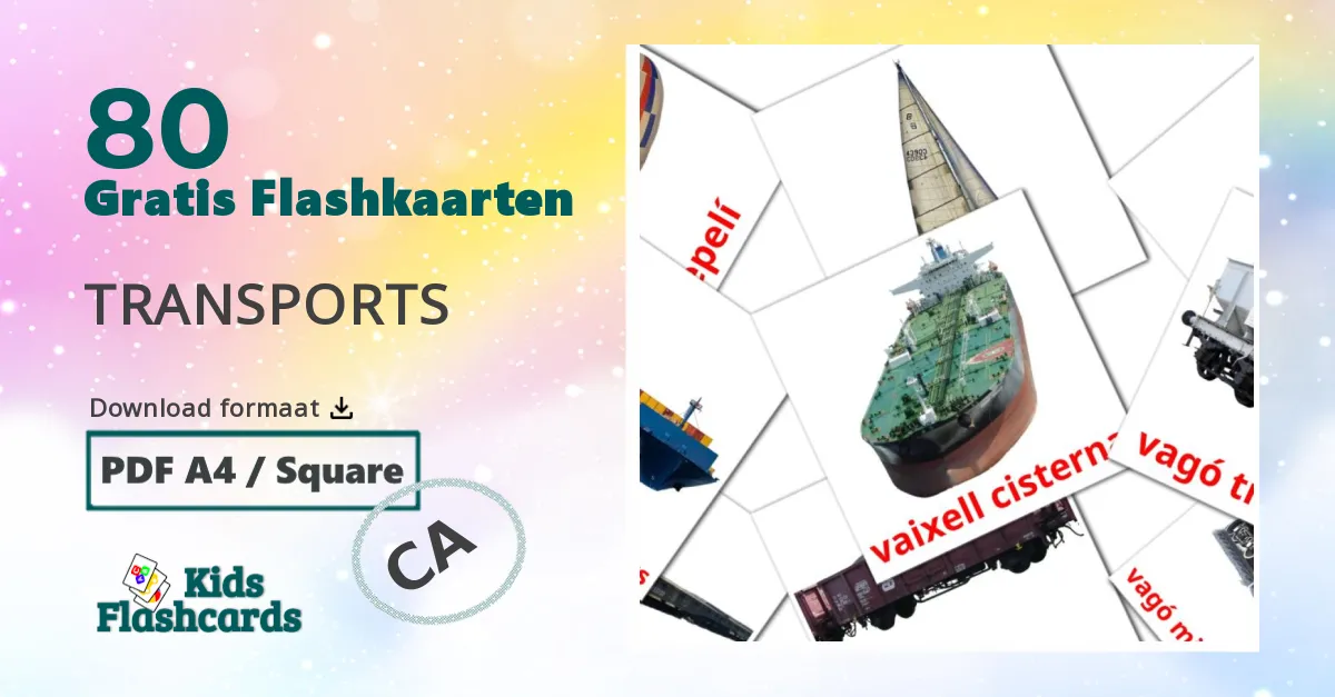 Vervoer flashcards