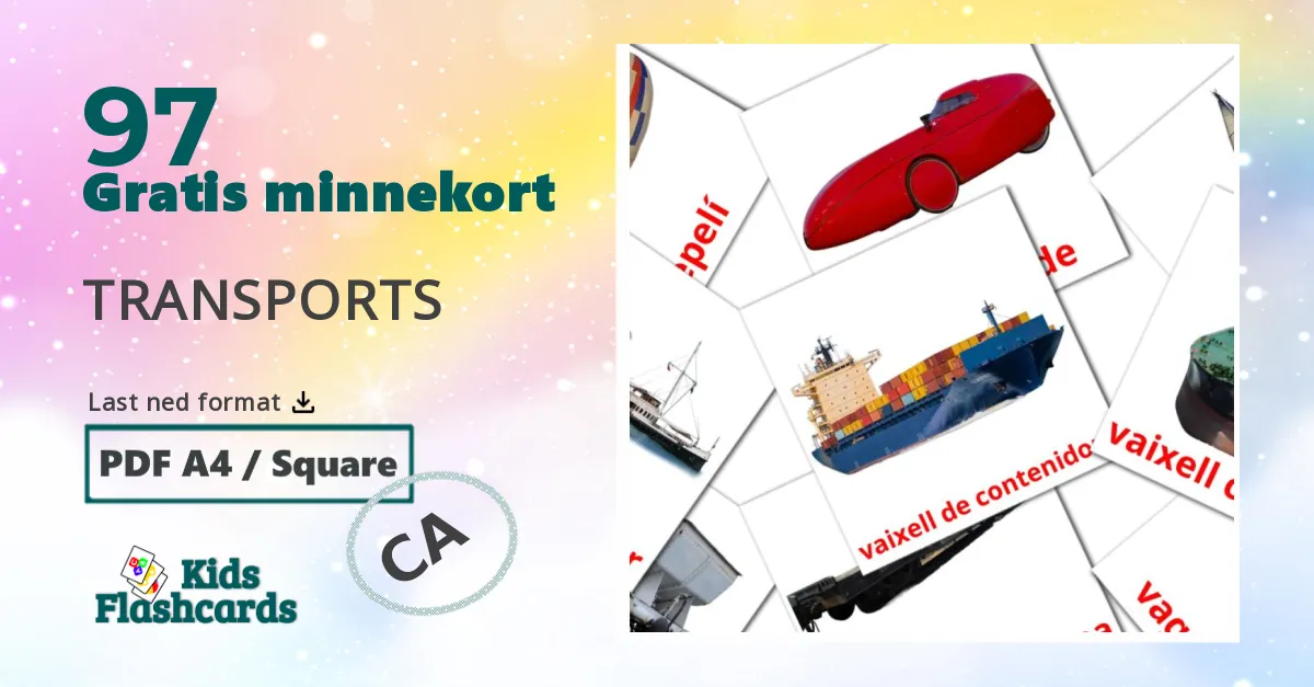 Flashcards de Transportere