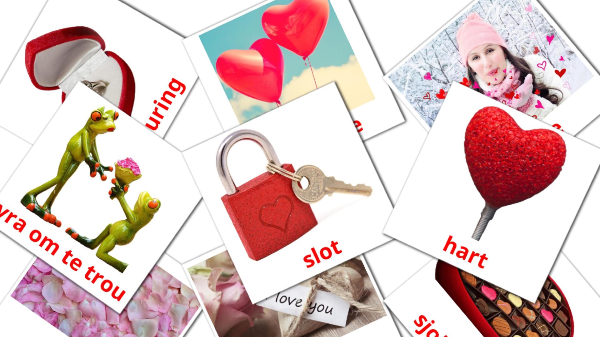 Valentine's Day - afrikaans vocabulary cards