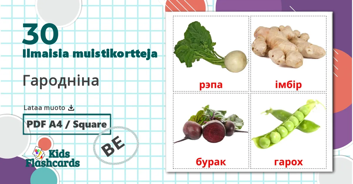 30 Гародніна lasten kuvakortit