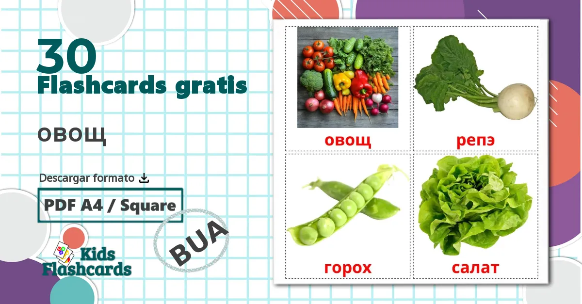 30 tarjetas didacticas de Verduras