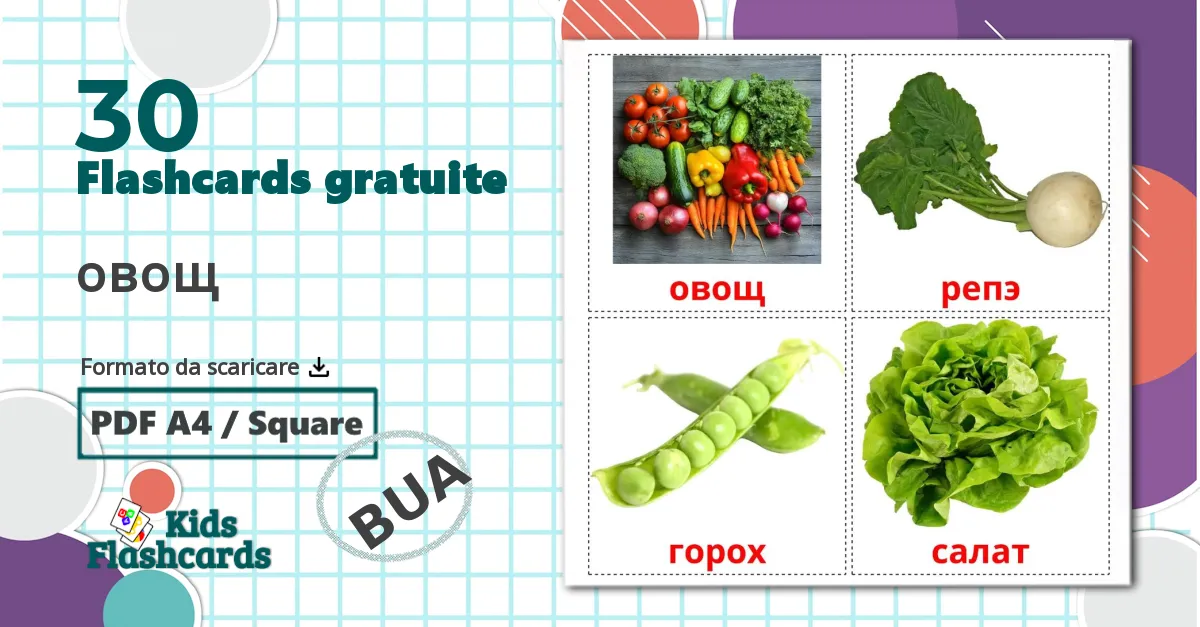 30 flashcards di La verdura