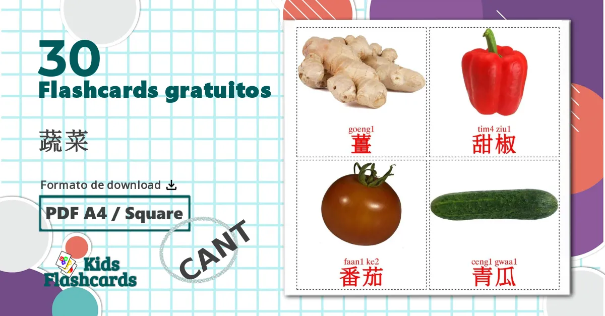 30 Flashcards de Legumes