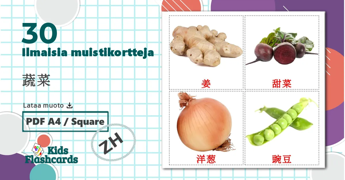 30 蔬菜 lasten kuvakortit
