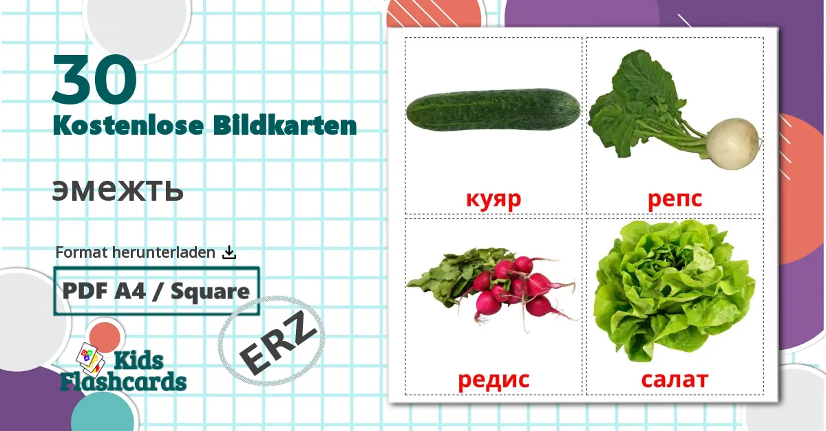 30 Bildkarten für эмежть