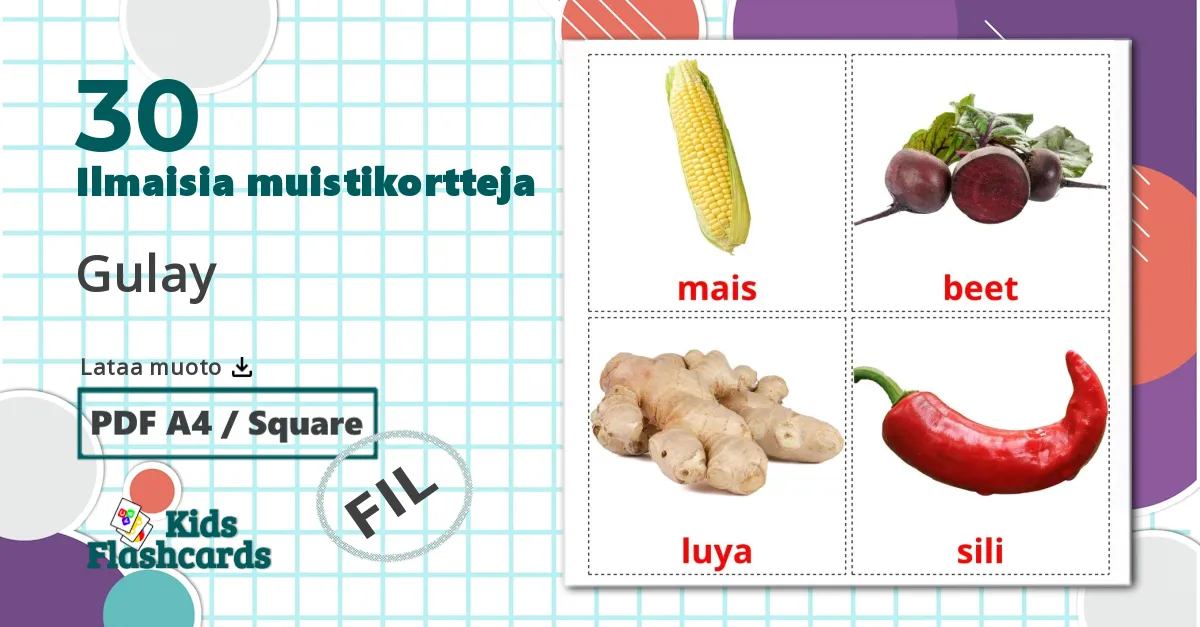 30 Gulay lasten kuvakortit