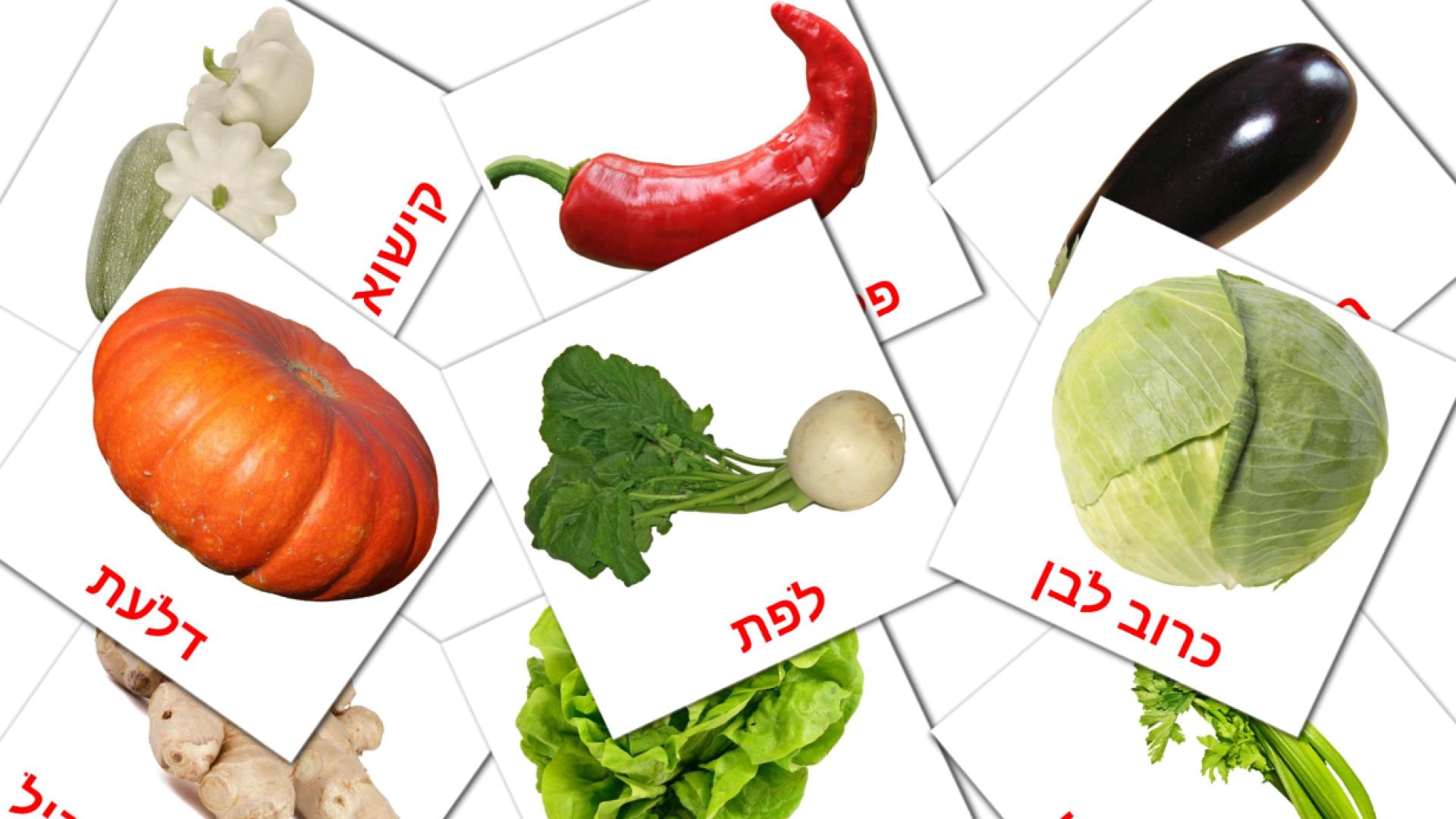 Bildkarten für ירקות