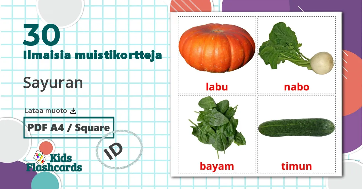 30 Sayuran lasten kuvakortit