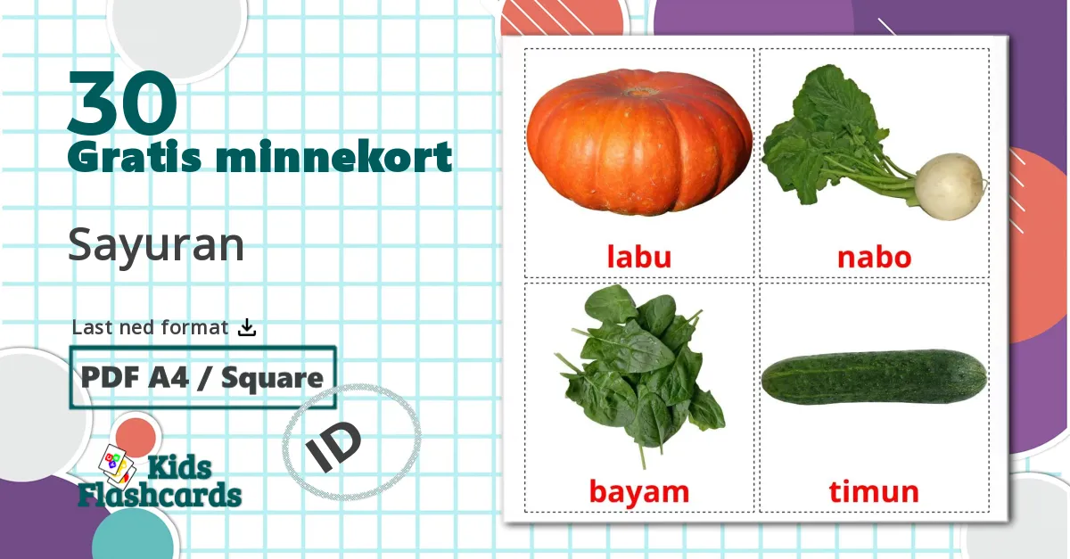 30 Sayuran bildekort