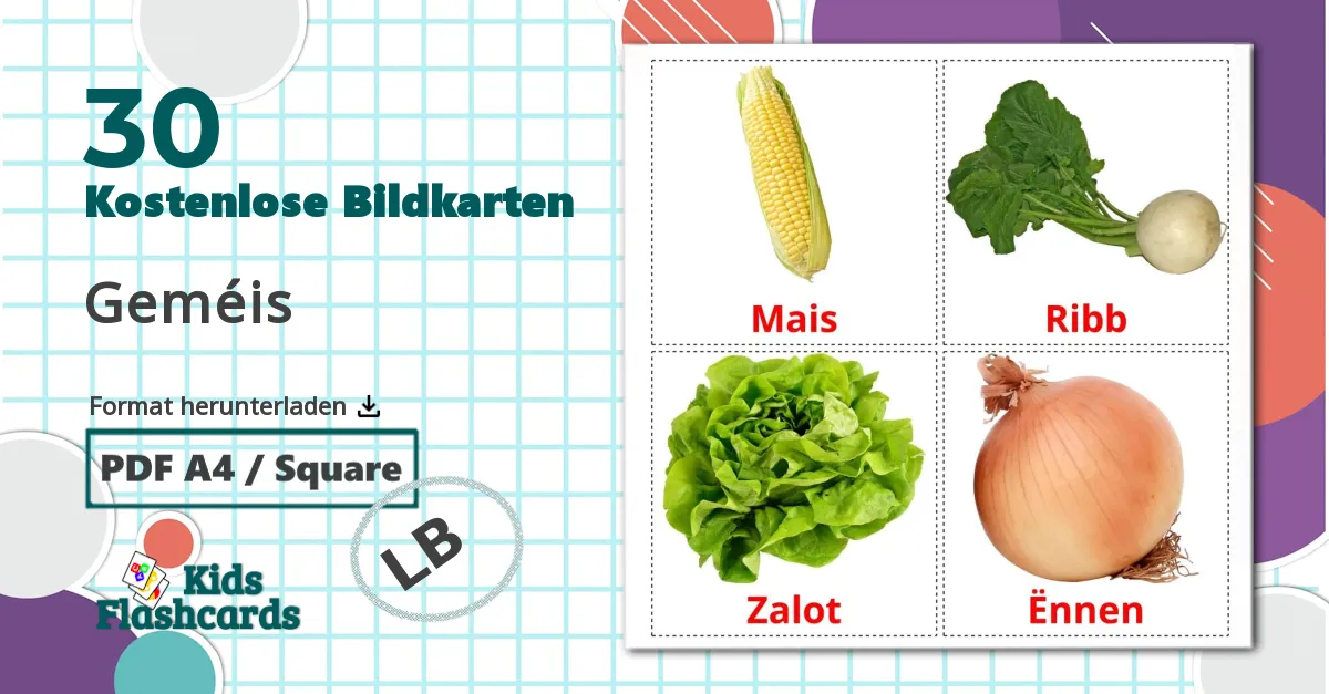 30 Bildkarten für Geméis