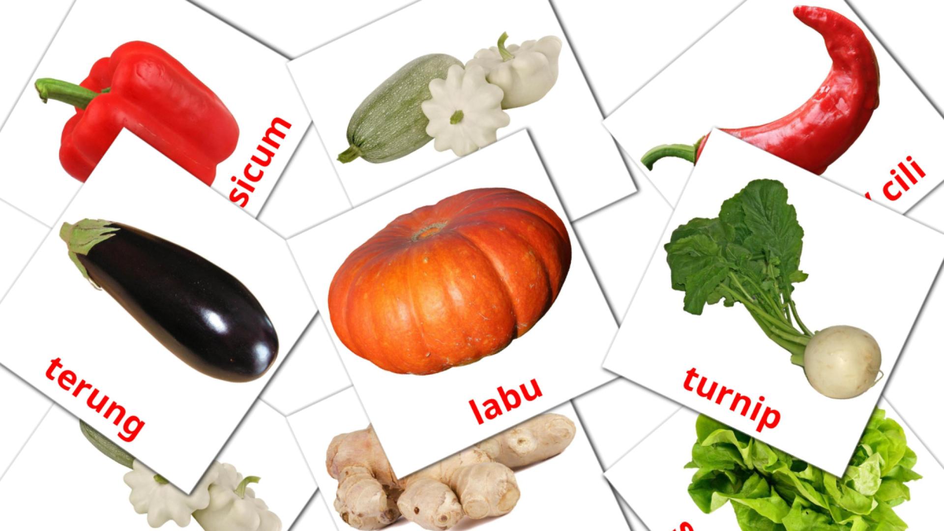Bildkarten für sayuran