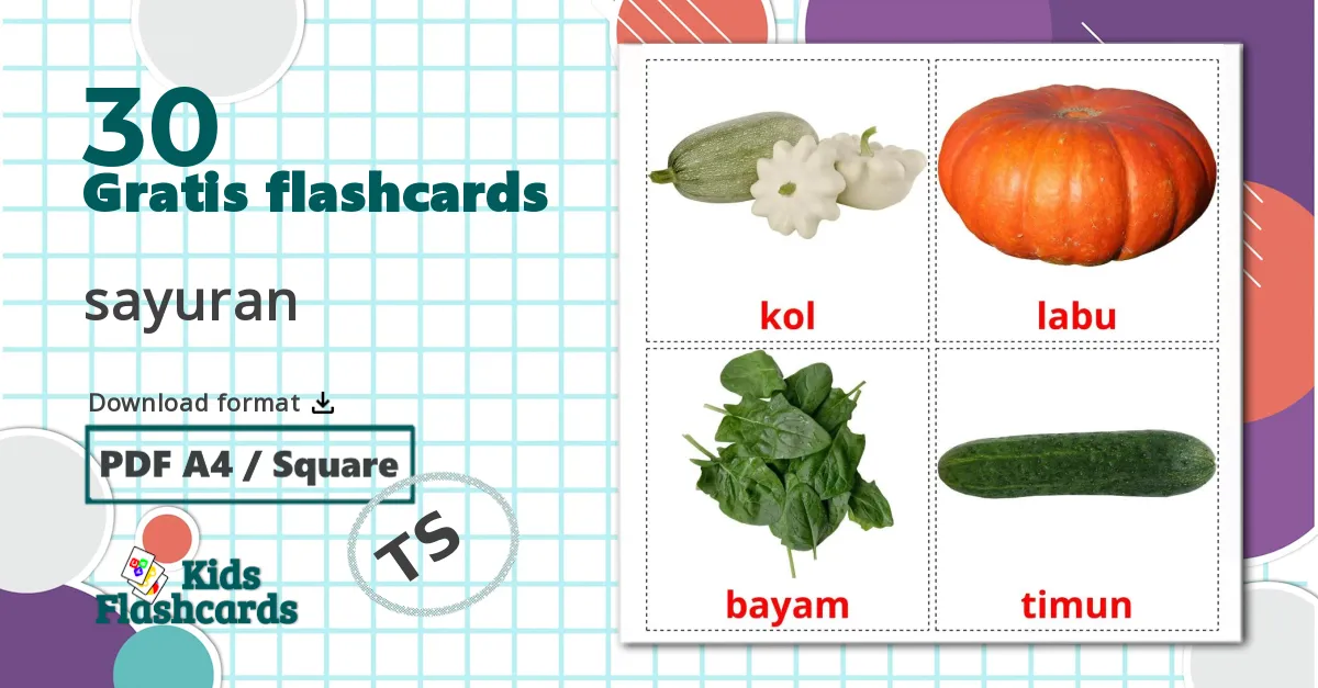 30 sayuran billedkort for børn