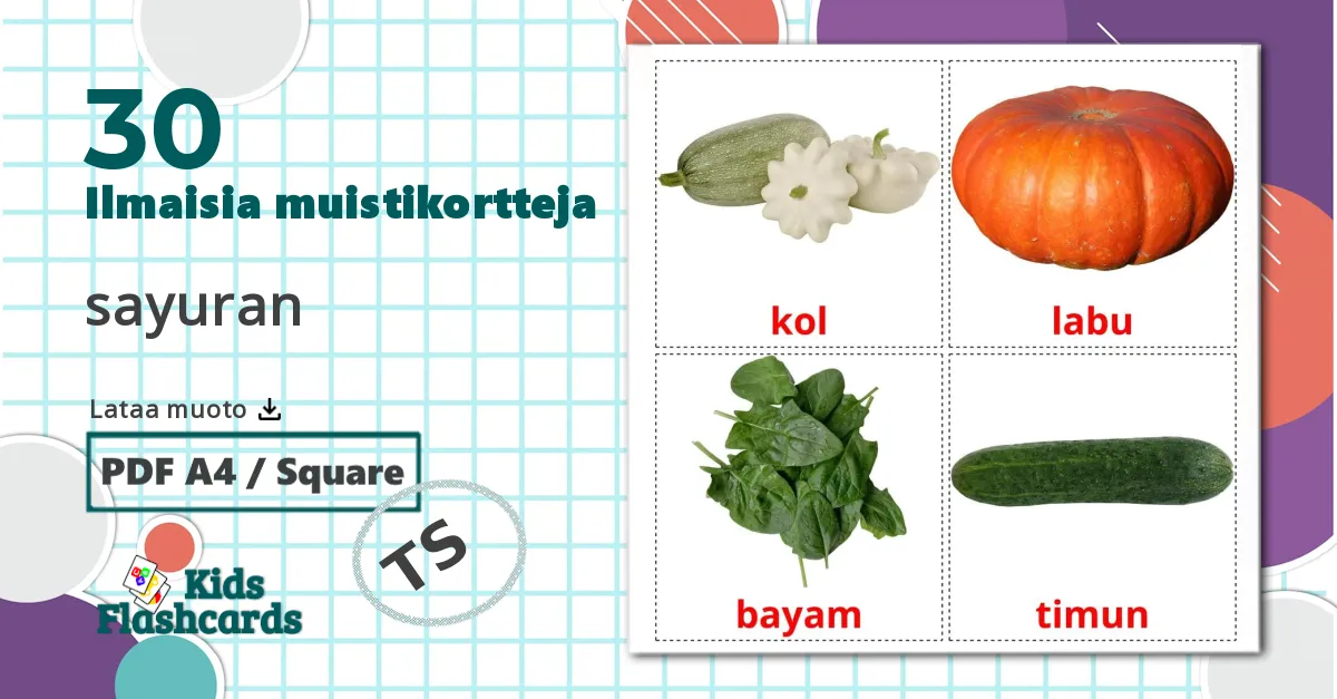 30 sayuran lasten kuvakortit