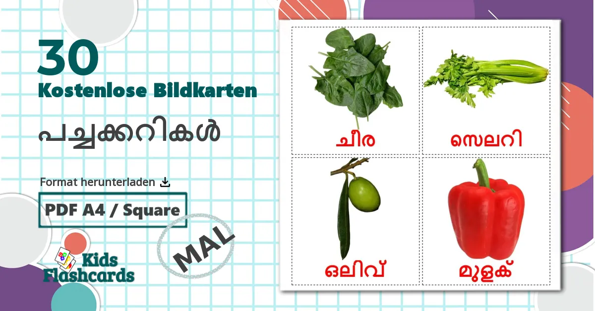 30 Bildkarten für പച്ചക്കറികൾ