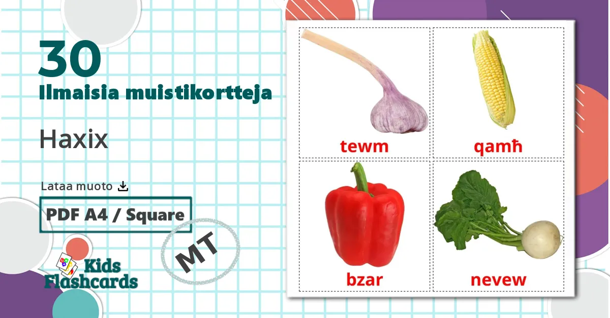 30 Haxix lasten kuvakortit