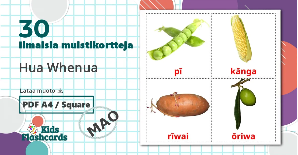 30 Hua Whenua lasten kuvakortit