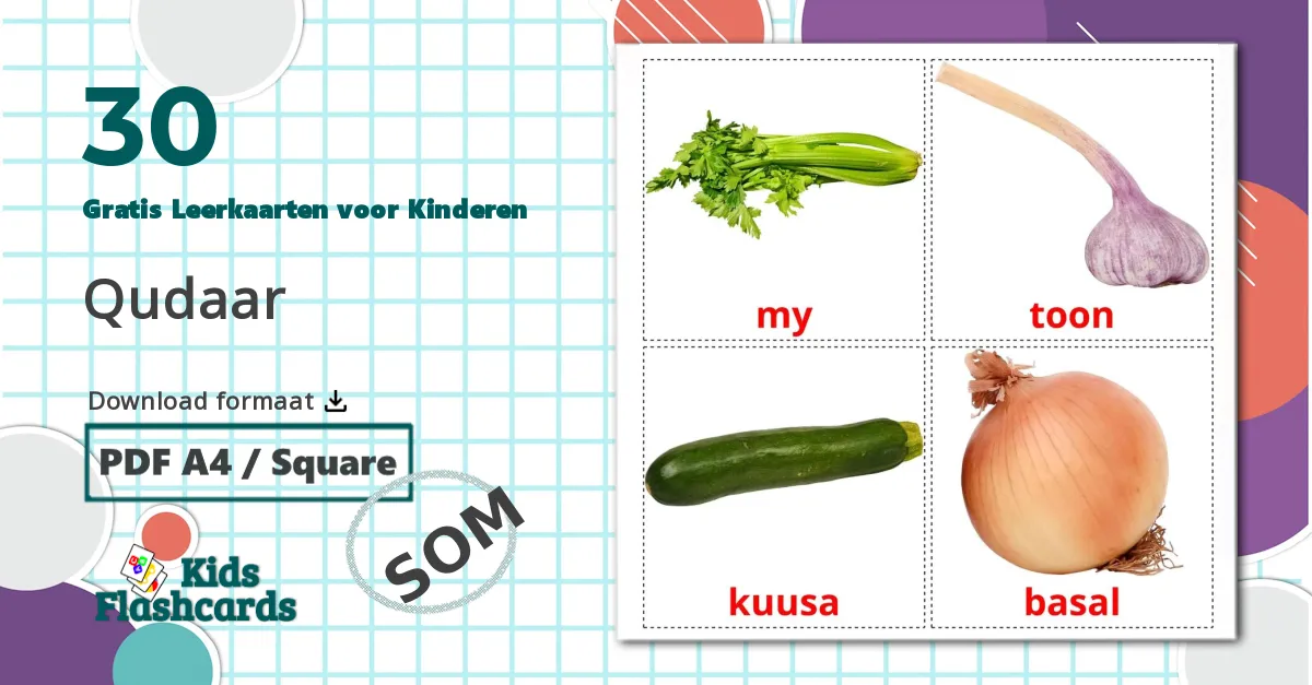 30 Groenten Leerkaarten voor kinderen