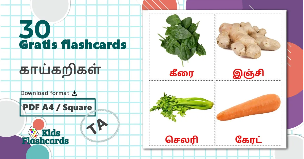 30 காய்கறிகள் billedkort for børn