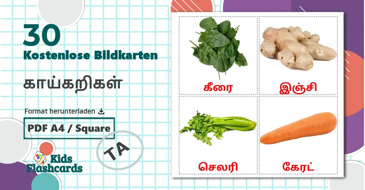 30 Bildkarten für காய்கறிகள்