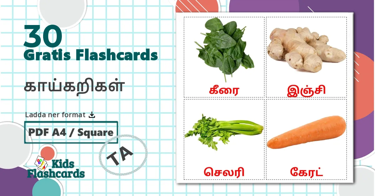 30 காய்கறிகள் bildkort för barn