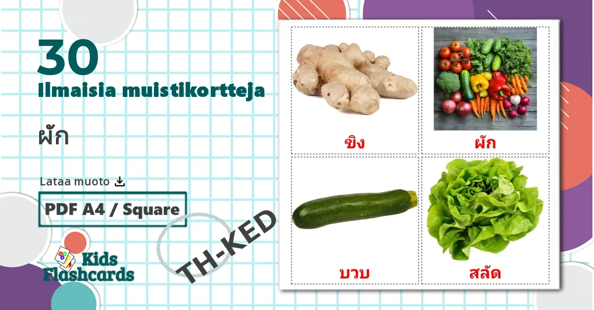30 ผัก lasten kuvakortit