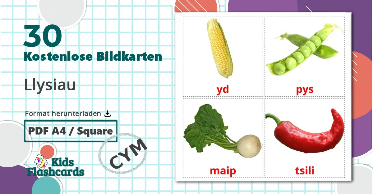 30 Bildkarten für Gemüse