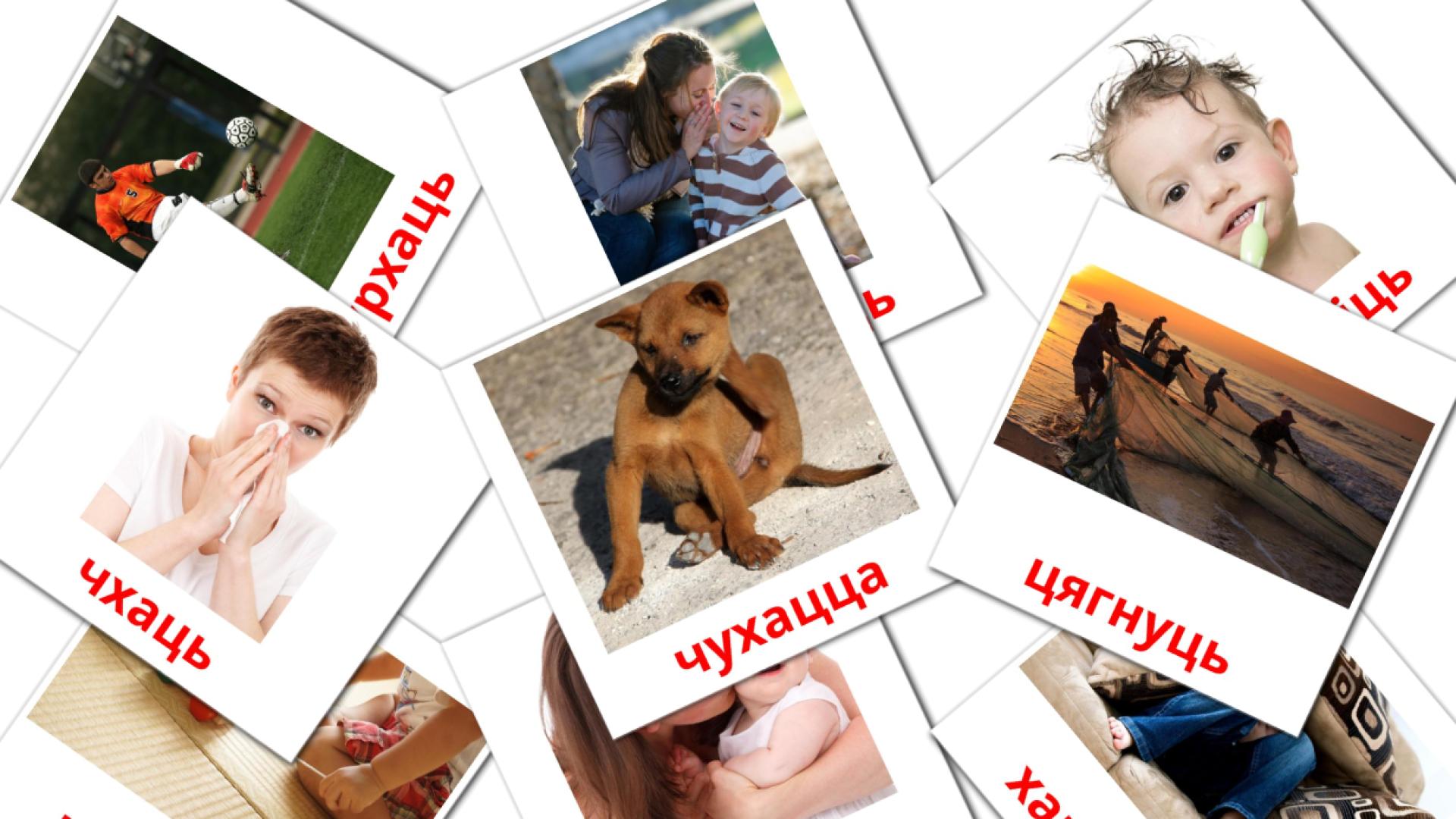 дзеясловы belarusian vocabulary flashcards