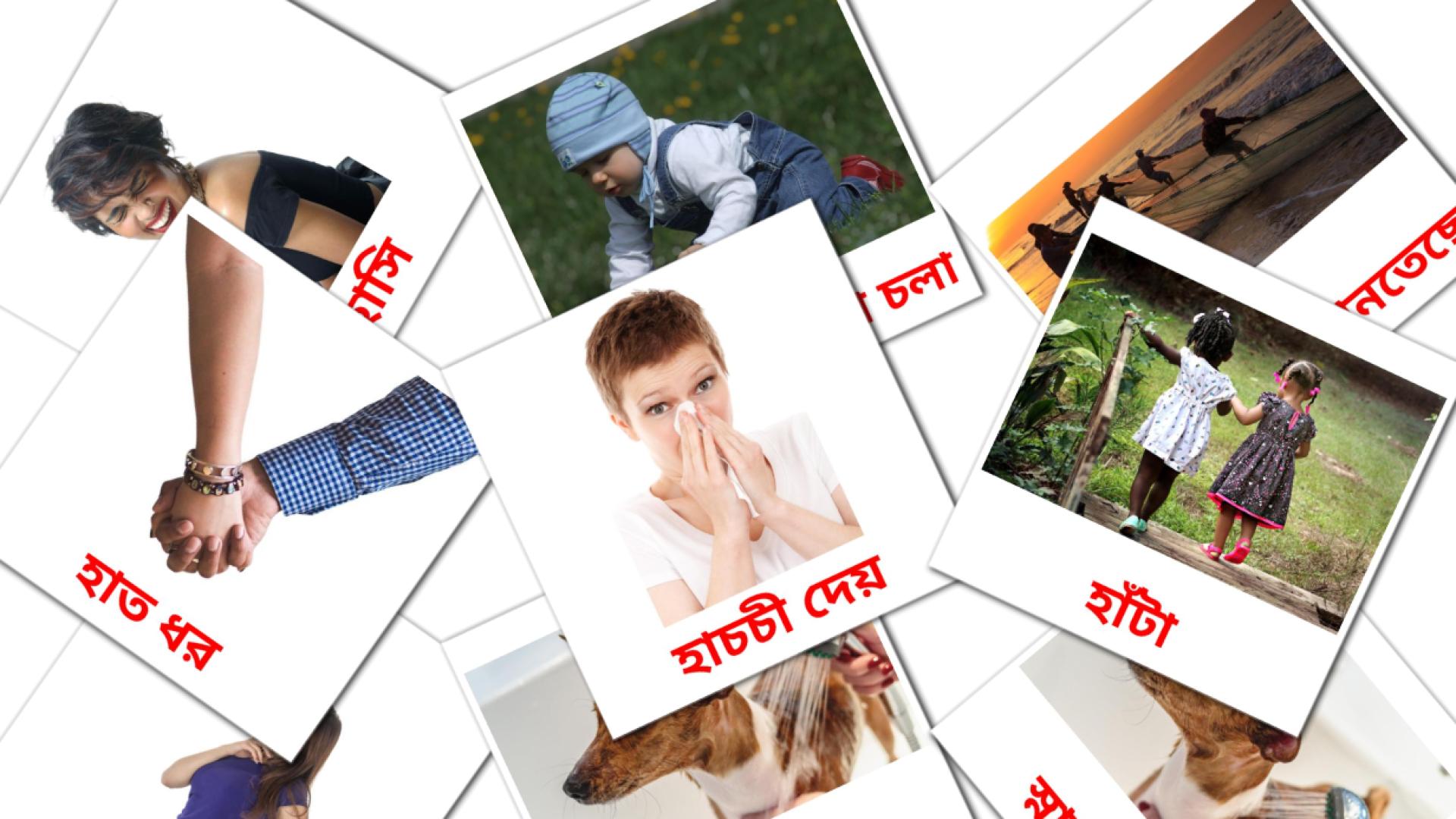 ক্রিয়াপদ bengali vocabulary flashcards