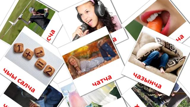 Кот по казахски перевод по казахски - Учим языки вместе