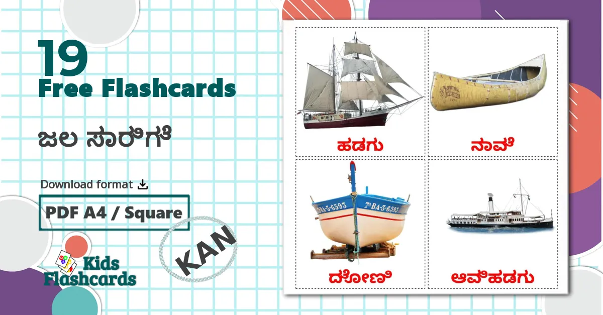 19 Water transport flashcards