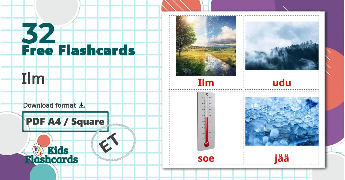 32 Ilm flashcards