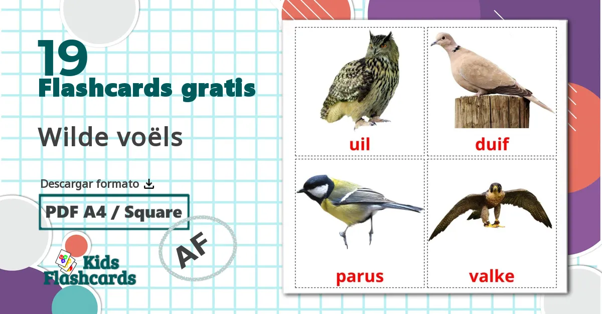 Pájaros salvajes - tarjetas de vocabulario en afrikáans