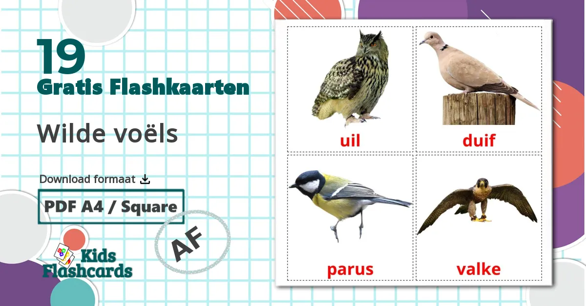 Wilde vogels - afrikaanse woordenschatkaarten