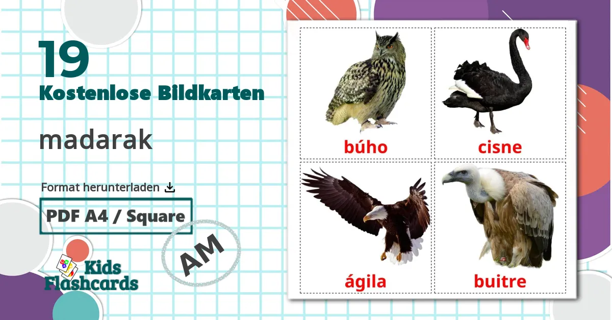 19 Bildkarten für Wildvögel