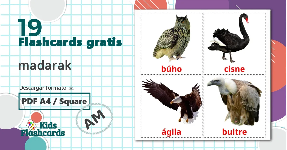 19 tarjetas didacticas de Pájaros salvajes