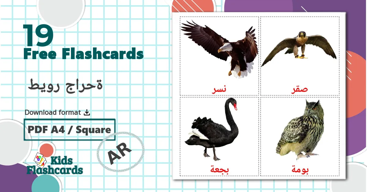 Wild birds - arabic vocabulary cards