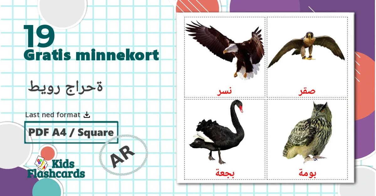 Ville fugler - Ordforrådskort for arabisk