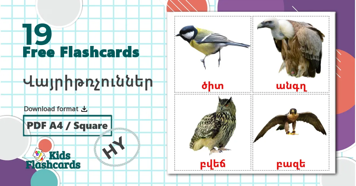 Wild birds - armenian vocabulary cards