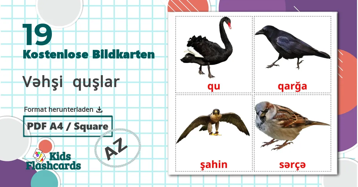 19 Bildkarten für Vəhşi  quşlar