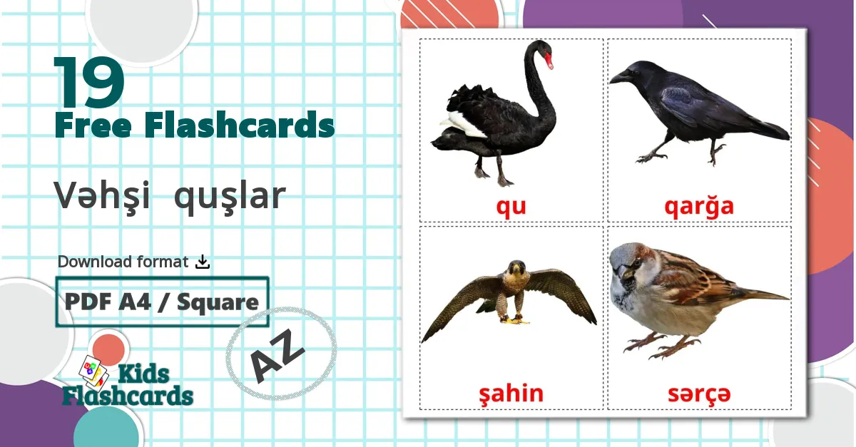 Wild birds - azerbaijani vocabulary cards